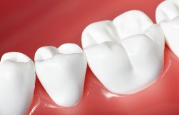 4 Things You Should Do to Prevent Gum Disease Philadelphia PA Dentist